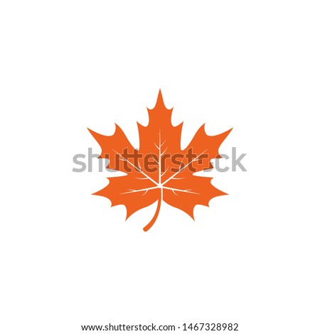 Maple leaf logo template vector icon illustration in flat design 