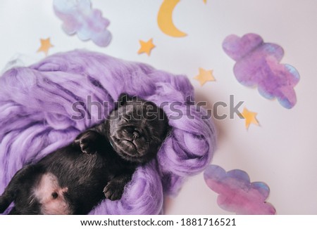 Similar – Image, Stock Photo fetch the moon from the sky