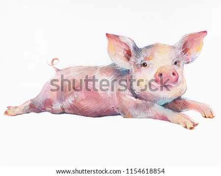 Watercolor cute piggy isolated on white background. Hand drawn little pig illustration. Symbol of New Year 2019.