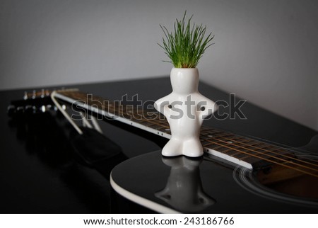 guitar and plant
