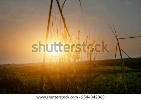 Similar – Image, Stock Photo Silhouettes of some wind mills on the top of a mountain during a super orange sunset with copy space peaceful