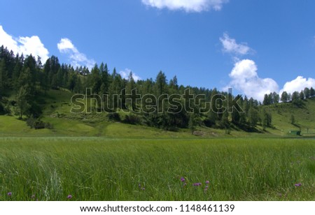 Austria Tauplitz