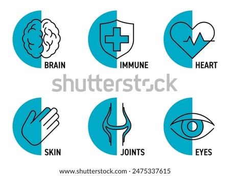 Icons set in thin line and semicircle shape for Nutrient Supplement - Omega 3 or some vitamins. Brain, Immune, Heart and Eyes, Skin and Joints support