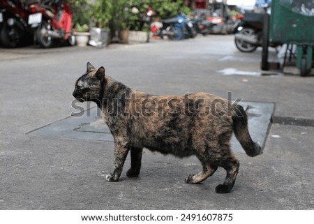 Image, Stock Photo big blotch like a speech bubble on the front of a house