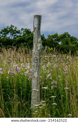 An aged post points hikers on the Appalachian Trail in the right direction as they cross through a clearing thick with grasses and wildflowers