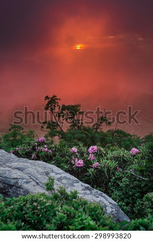 The sun sets through thin fog blowing through the Roan Mountain highlands