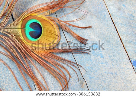 Eye of a peacock feather on blue grunge wood background