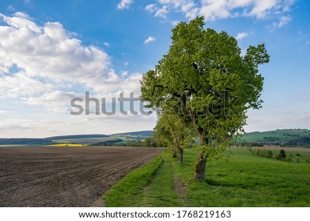 Similar – Image, Stock Photo Further view over trees of the Yosemite-Vally to the “El Capitan” and waterfalls.