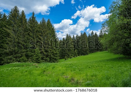 Similar – Image, Stock Photo Further view over trees of the Yosemite-Vally to the “El Capitan” and waterfalls.