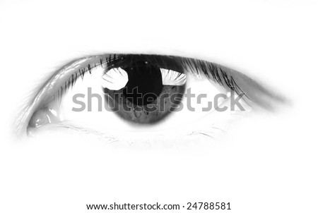 close up shot of a human eye on white background