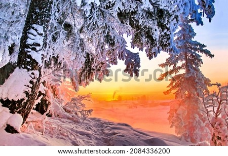 Winter dawn in the snowy forest. Winter snow dawn. Winter snow scene at dawn. Snowy winter morning