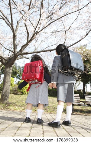 Primary Japanese boy and Japanese girl who look up at cherry tree