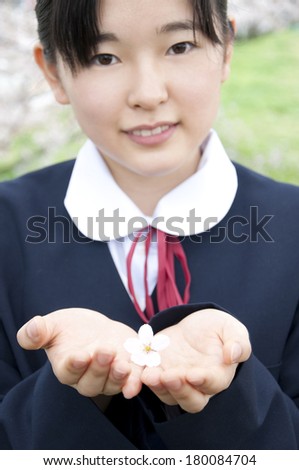Junior high Japanese girl with petals of cherry blossom