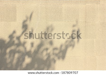 Shadow of trees casting on tan textured wall