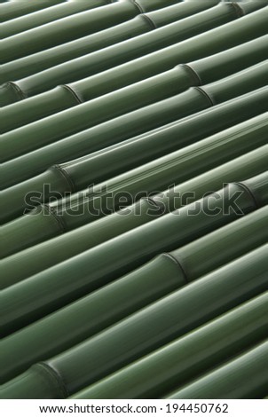 Back green bamboo material