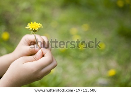 Similar – Image, Stock Photo Child hand with dandelion