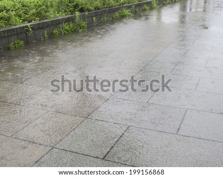 Wet Tile In The Rainy Park