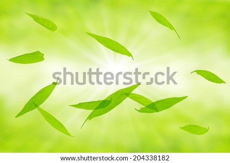 An Image of Fresh Green Image