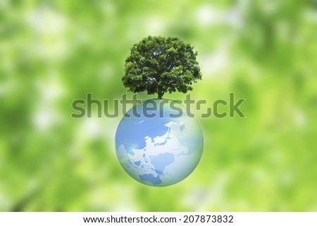 A Single Tree And Globe