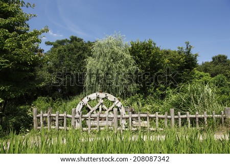 Rice Paddy And Water Wheel