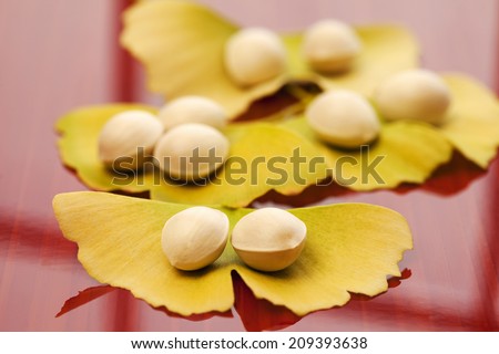An Image of Ginkgo Tree Fruit