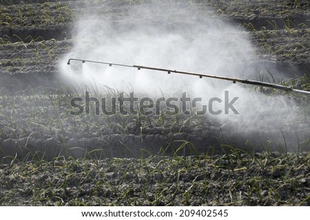 The Chemicals Agents To Be Sprayed In The Field