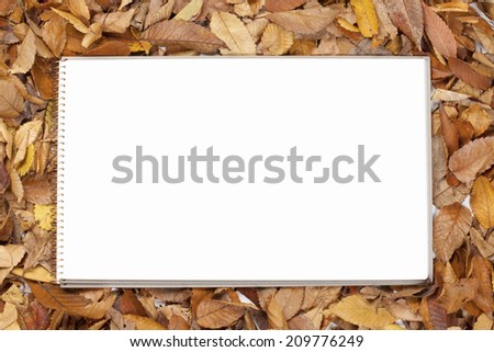 Frame Of Fallen Leaves