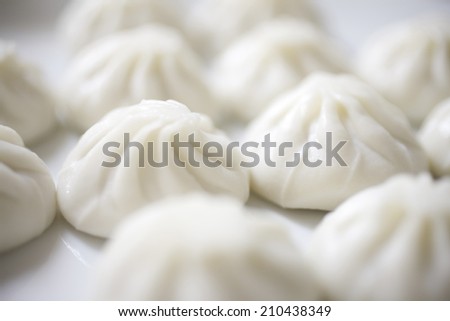 Image Of The Chinese Dumpling