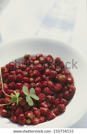 Wild Berries On A Dish