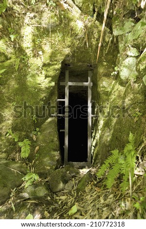 Entrance To A Cave In Forest
