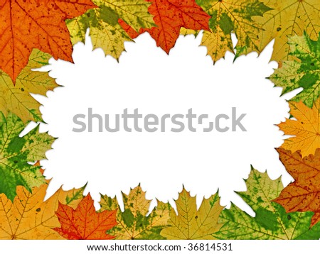colorful vivid autumnal frame,made from stained maple leaves