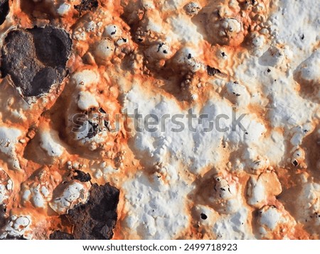 Similar – Image, Stock Photo The rust eats away at the metal plate towards the center. Nothing can stop it.