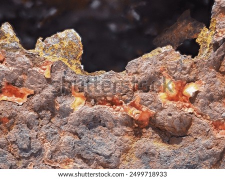 Similar – Image, Stock Photo The rust eats away at the metal plate towards the center. Nothing can stop it.