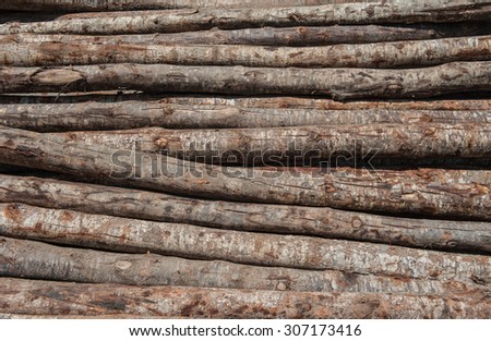 Wood pile waiting to be processed