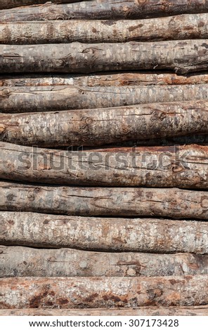 Wood pile waiting to be processed