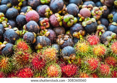 mangosteen fruit is nutritious and medicinal health benefits.