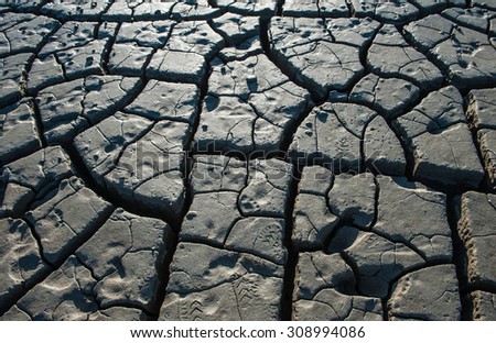 Sea mud dry cracked earth