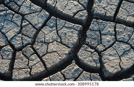 Sea mud dry cracked earth