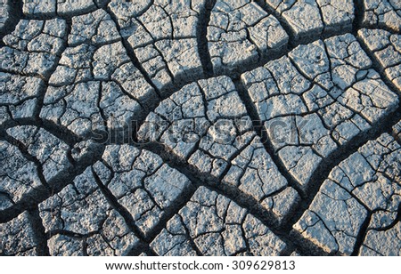 Sea mud dry land surface and background.