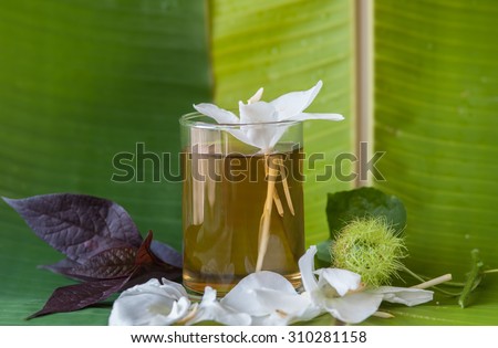 Hot tea herbs  healthy herbal tea on banana leaf background.