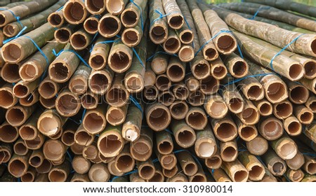 Bamboo pile prepare for furniture or construction materials like craft craft.