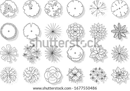 vector of top view tree set, hand drawn sketch on white background