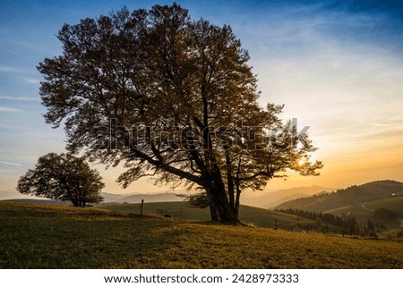 Similar – Image, Stock Photo Sunset on the Schauinsland