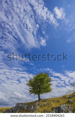 Similar – Image, Stock Photo solitary Exterior shot