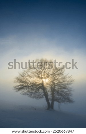 Similar – Image, Stock Photo solitary Exterior shot