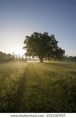 Similar – Image, Stock Photo solitary Exterior shot
