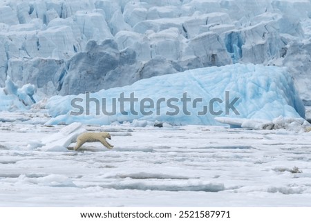 Similar – Image, Stock Photo Ice floes