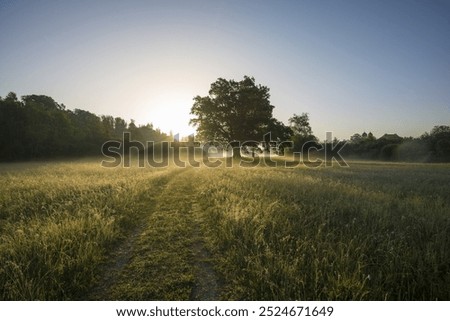 Similar – Image, Stock Photo solitary Exterior shot
