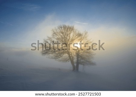 Similar – Image, Stock Photo Sunset on the Schauinsland