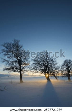 Similar – Image, Stock Photo Sunset on the Schauinsland